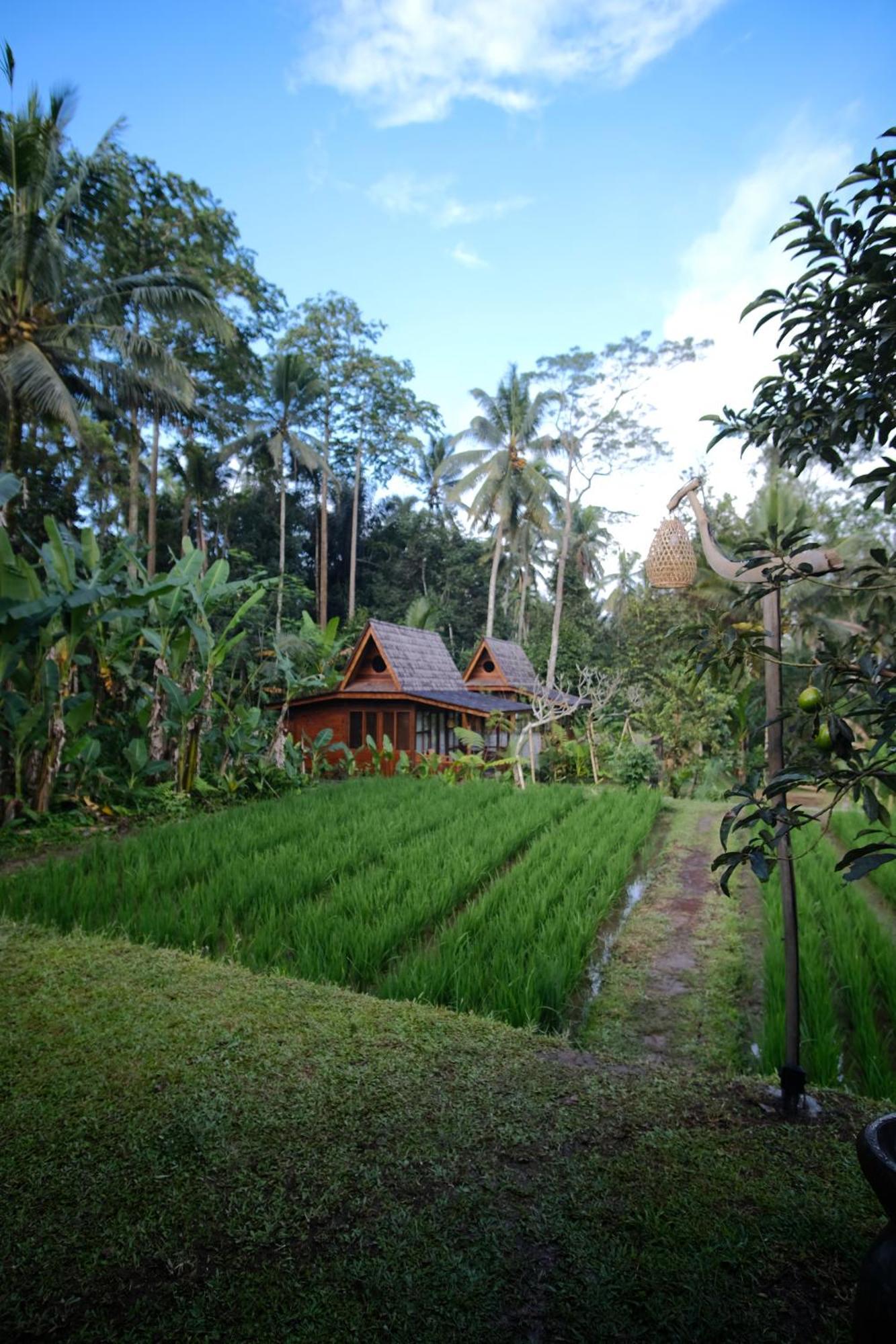 Inn Uma