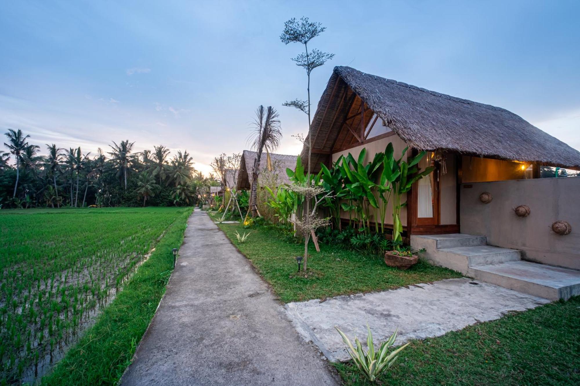 Mawas Ferienhaus Ubud