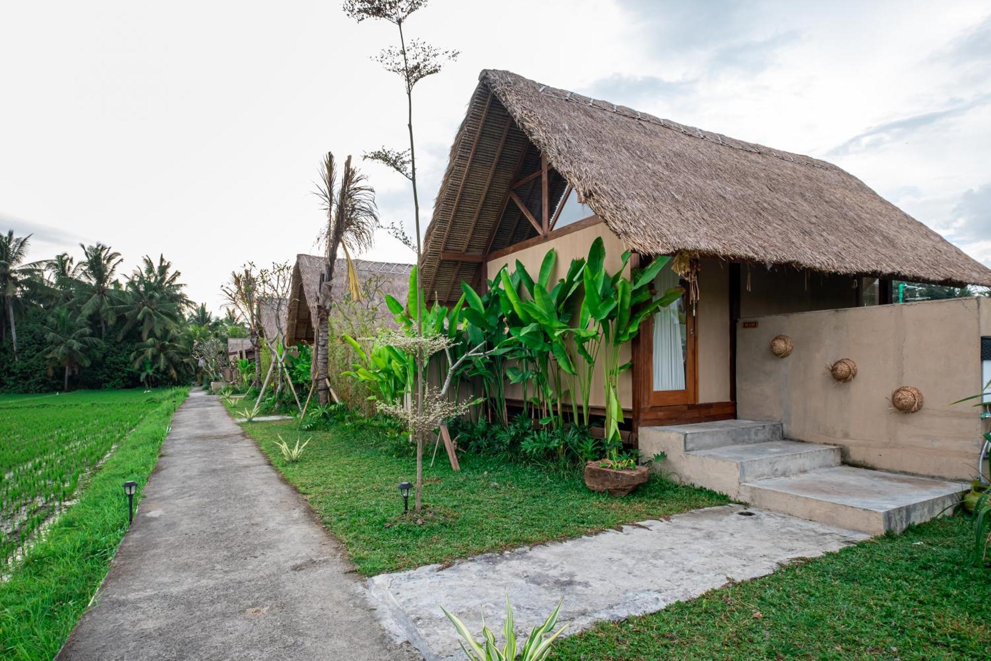 Mawas Ferienhaus Ubud