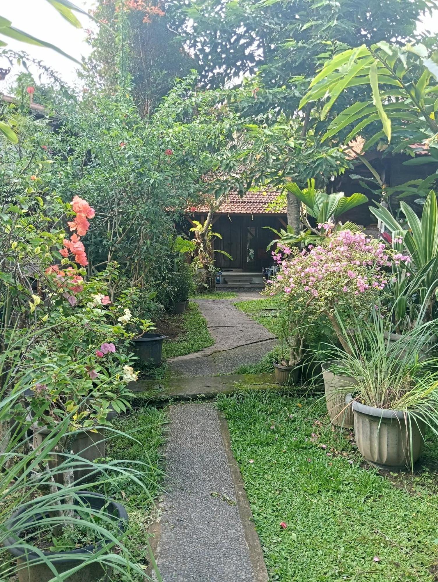 Bhuana Alit Guest house Ubud (Bali)