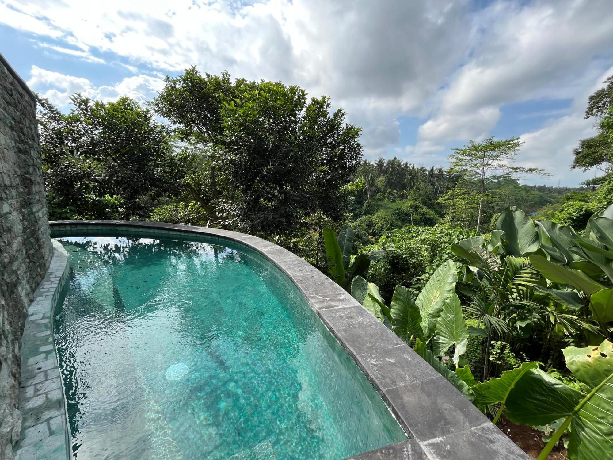 Bed & Breakfast D'nanda Ubud (Bali)