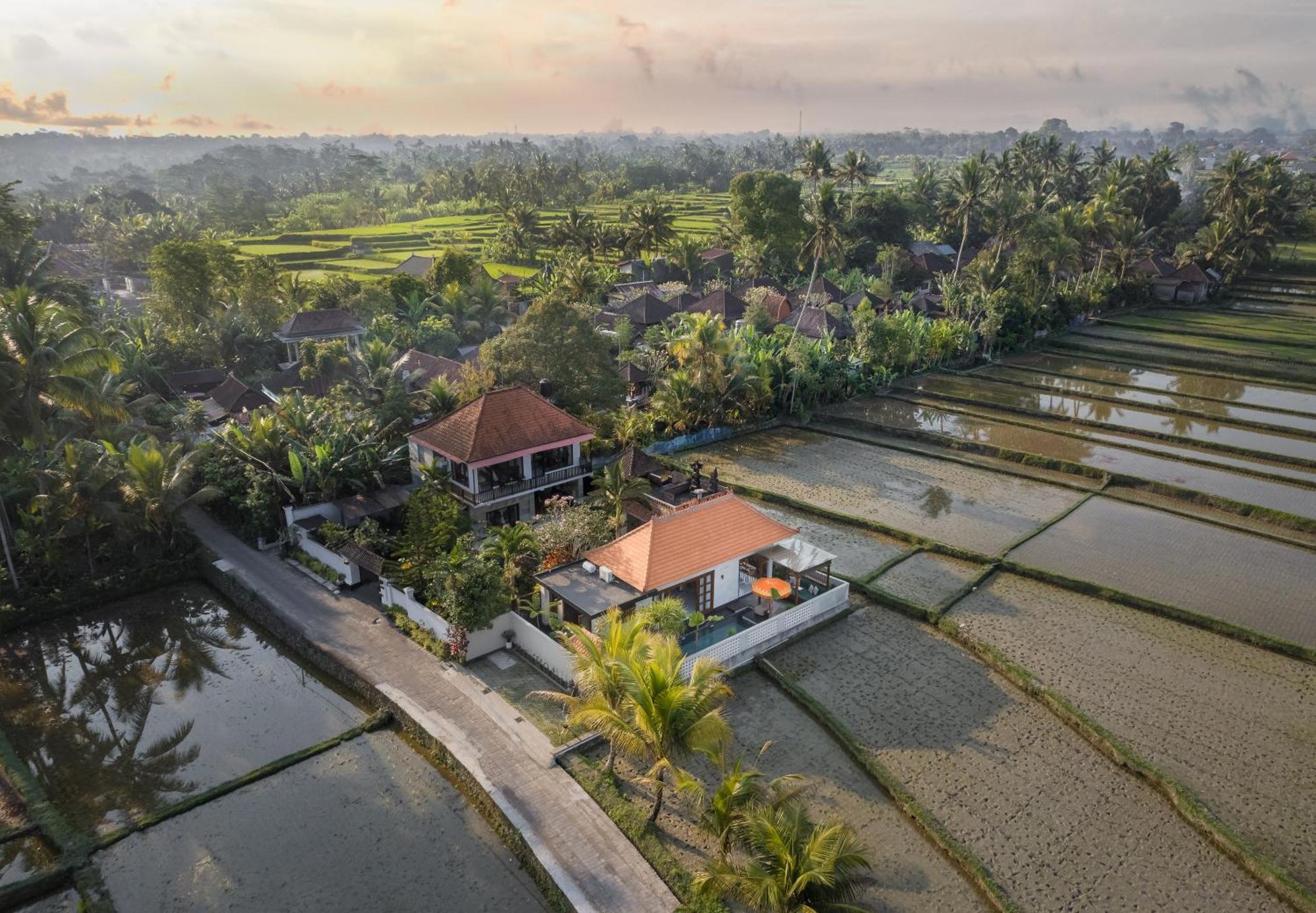 Dijero At Umah Bali *