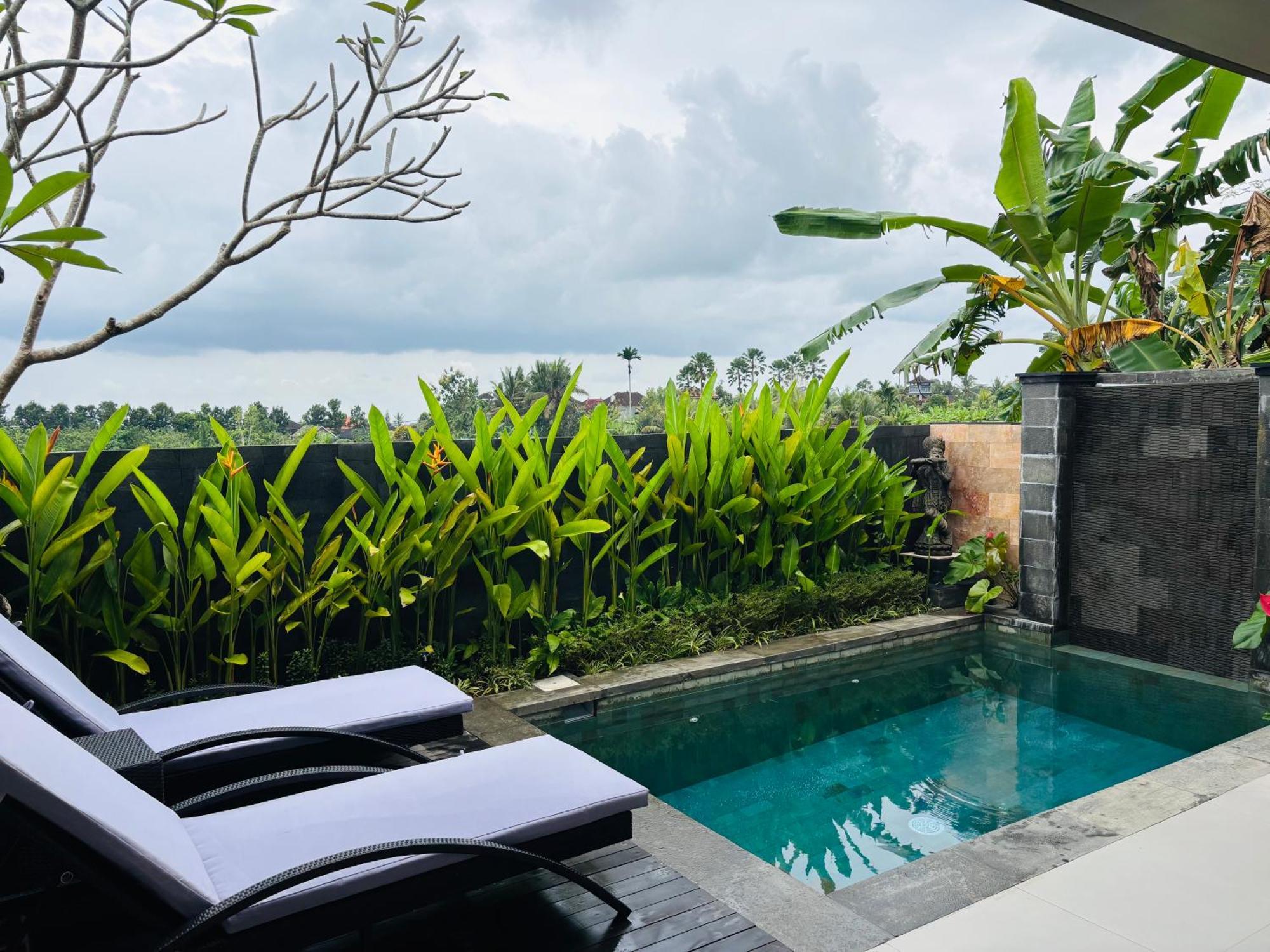 Uma Padi Vila Ubud (Bali)