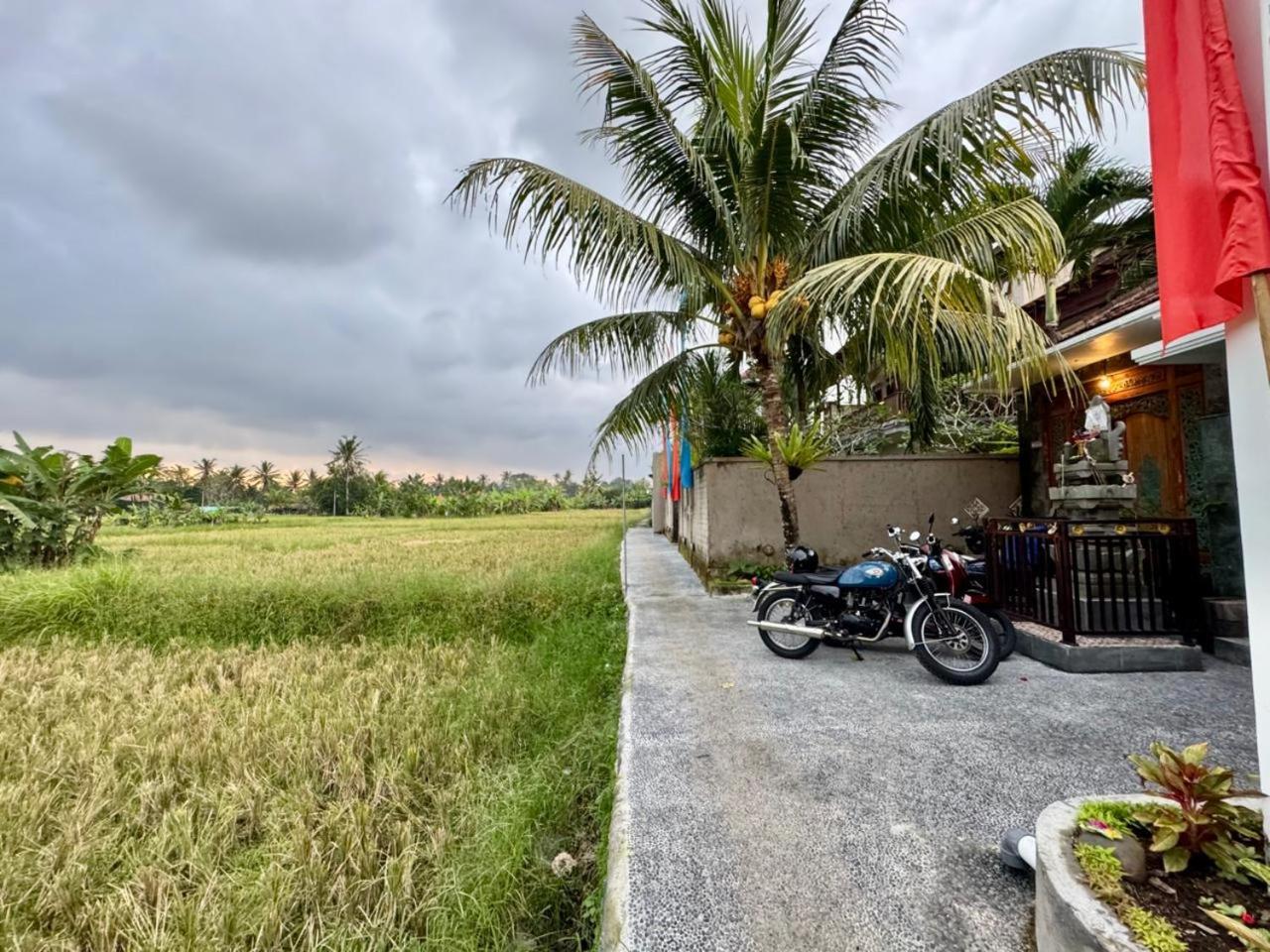 Tenang * Ubud (Bali)