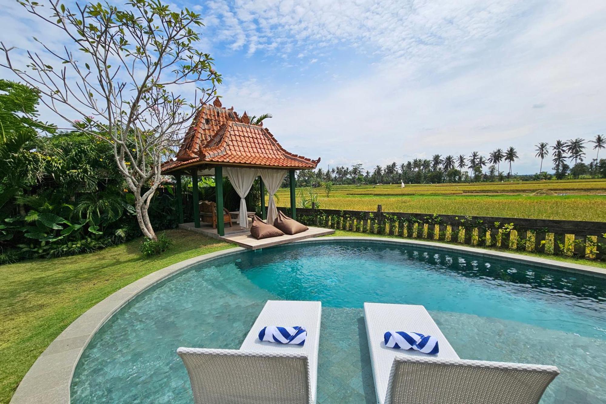 Diyara - 6000 Sq Ft Private - Stunning Rice Field View - Big Pool & Garden Ubud