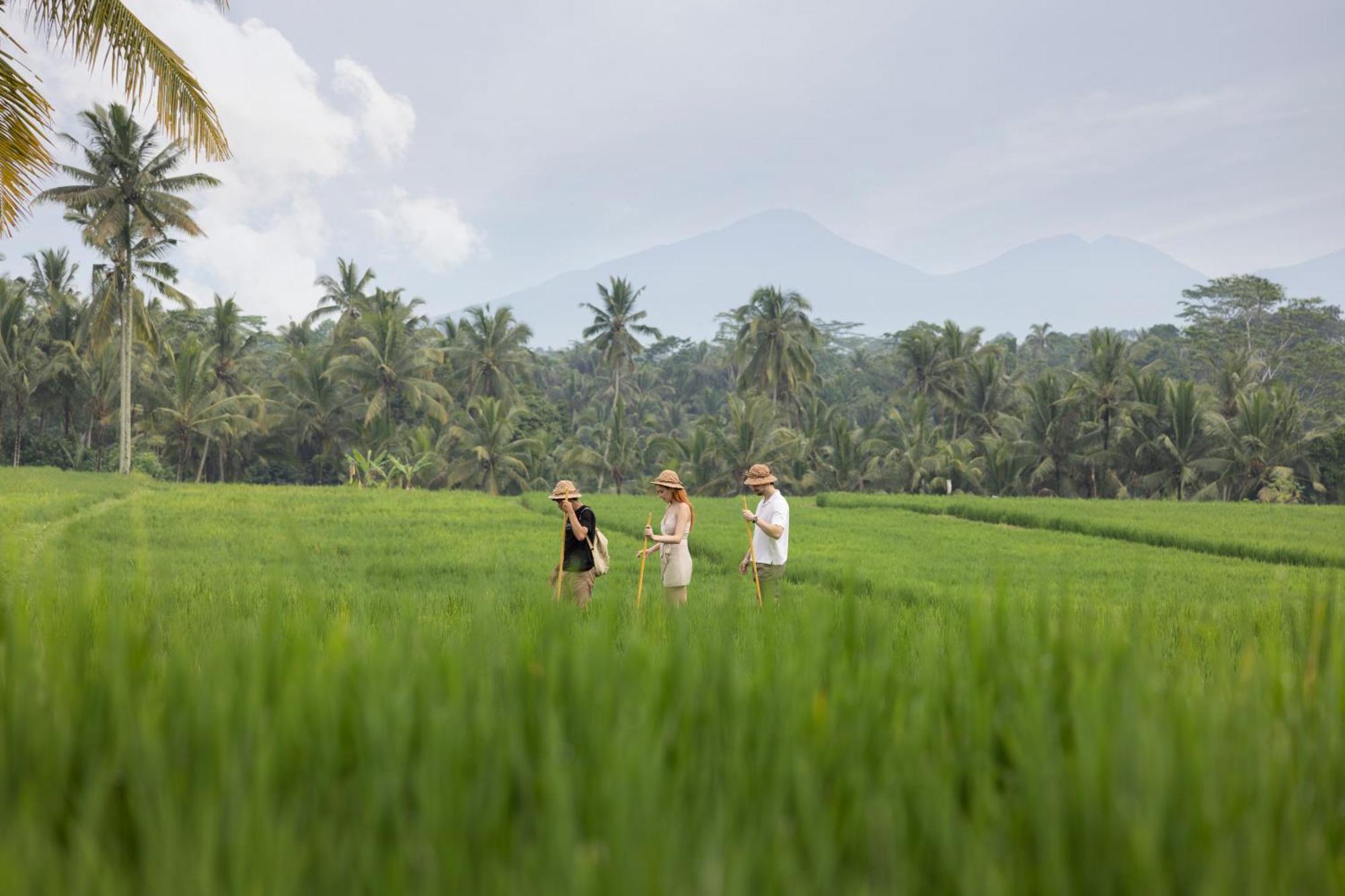 Villa Santris By Pramana Ubud