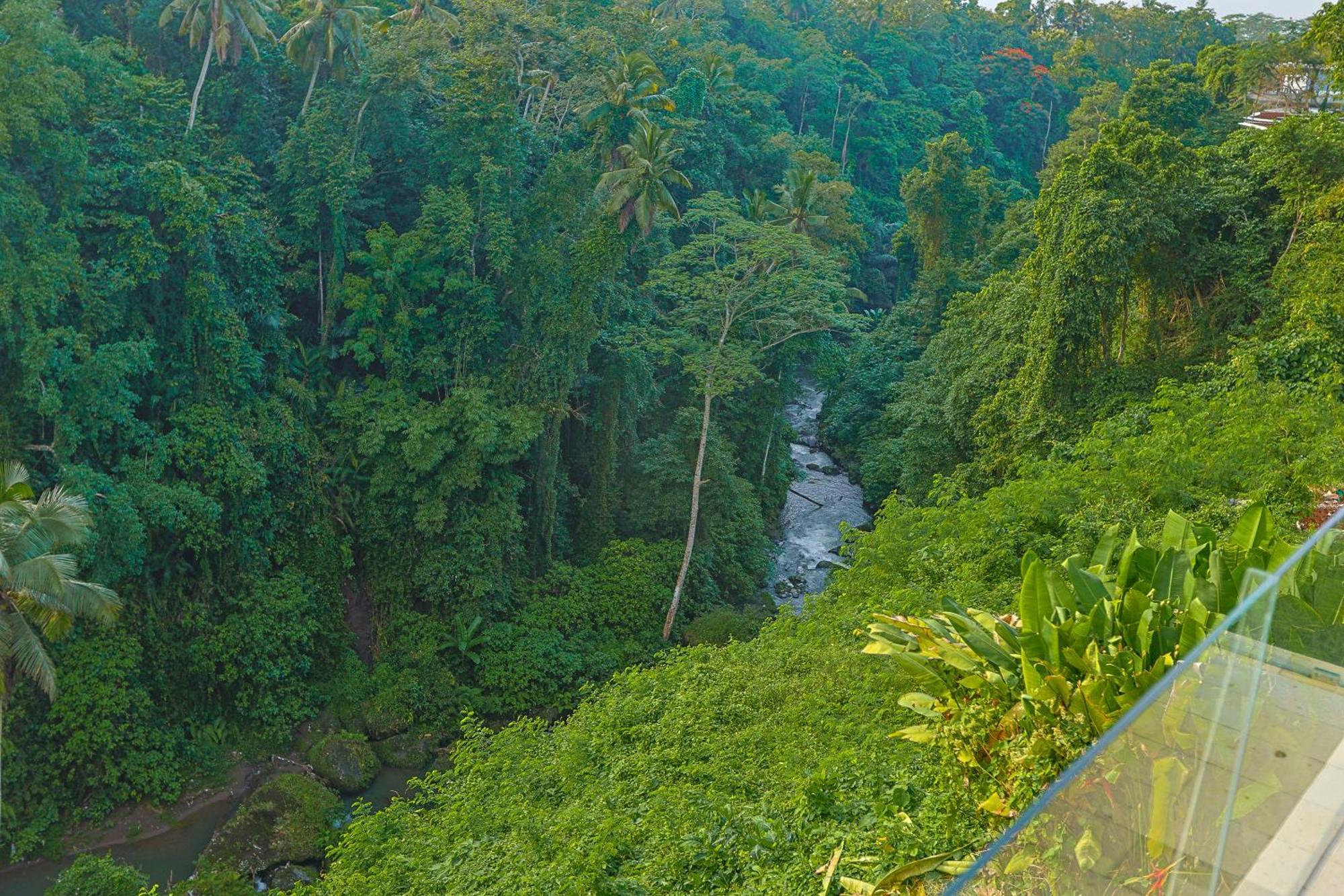 Hotel Cella Bella Ubud (Bali)