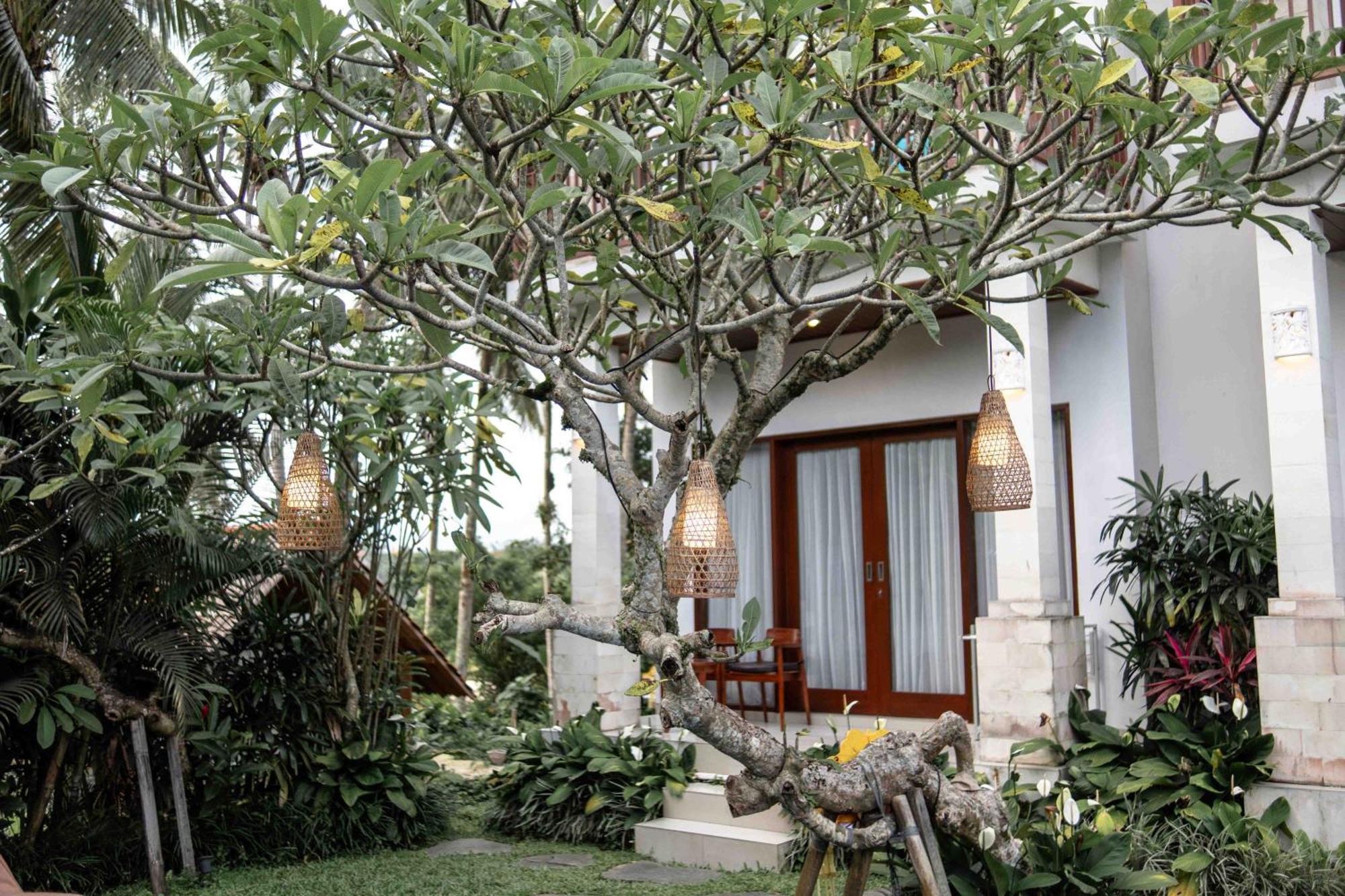 Hotel The Suarsena Escape Ubud (Bali)