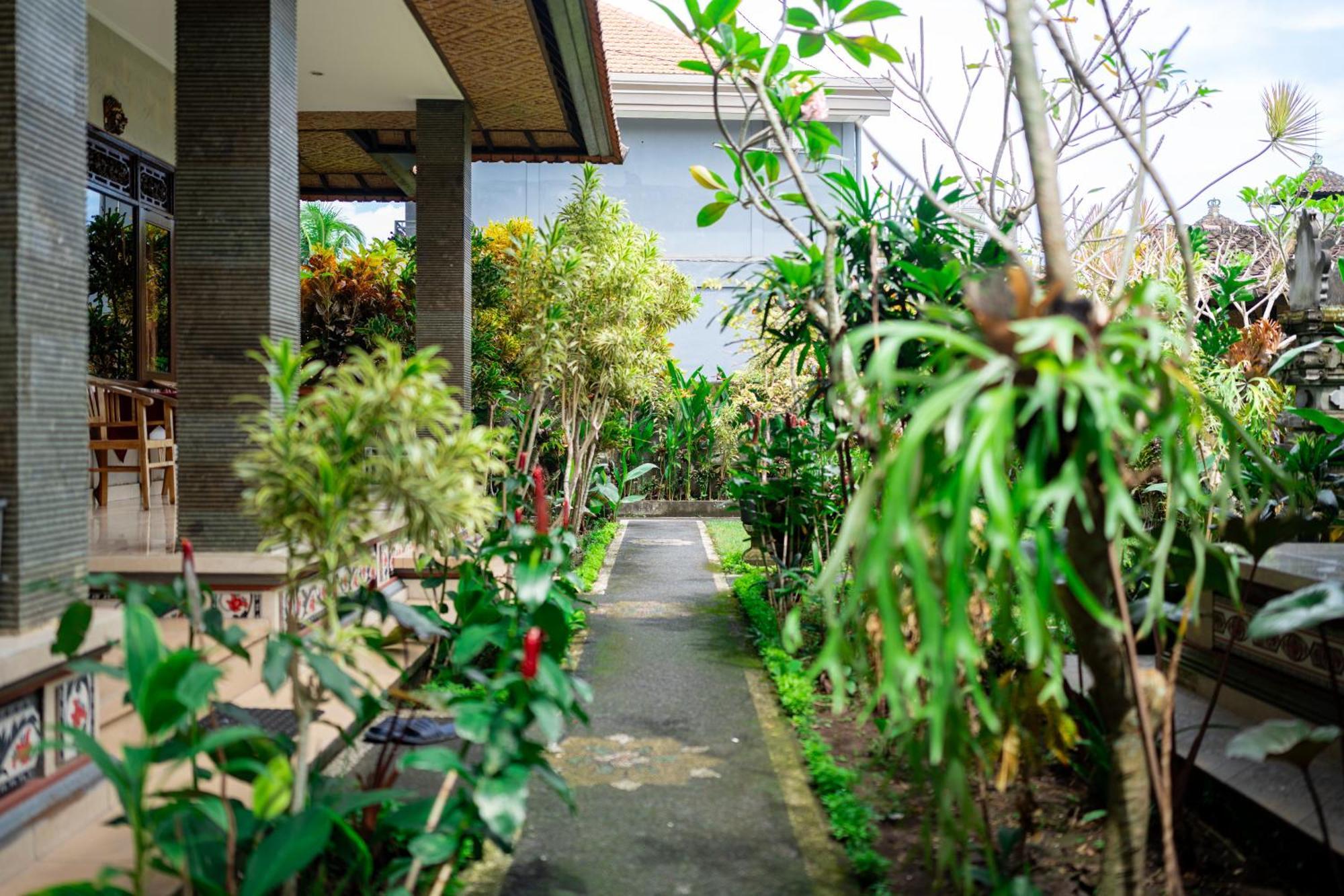 Homestay Rena House