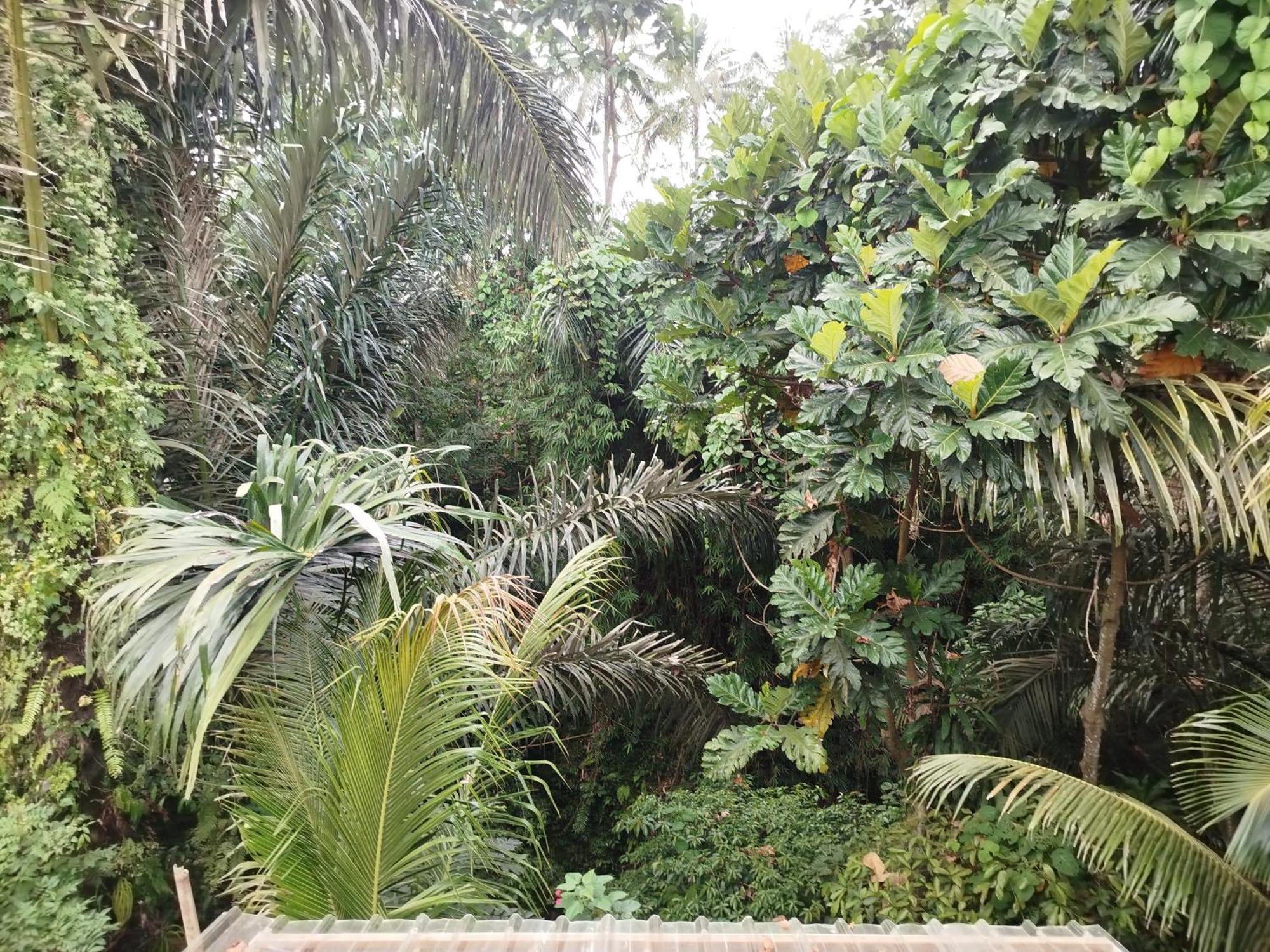 Suweta46 House Gasthof Ubud