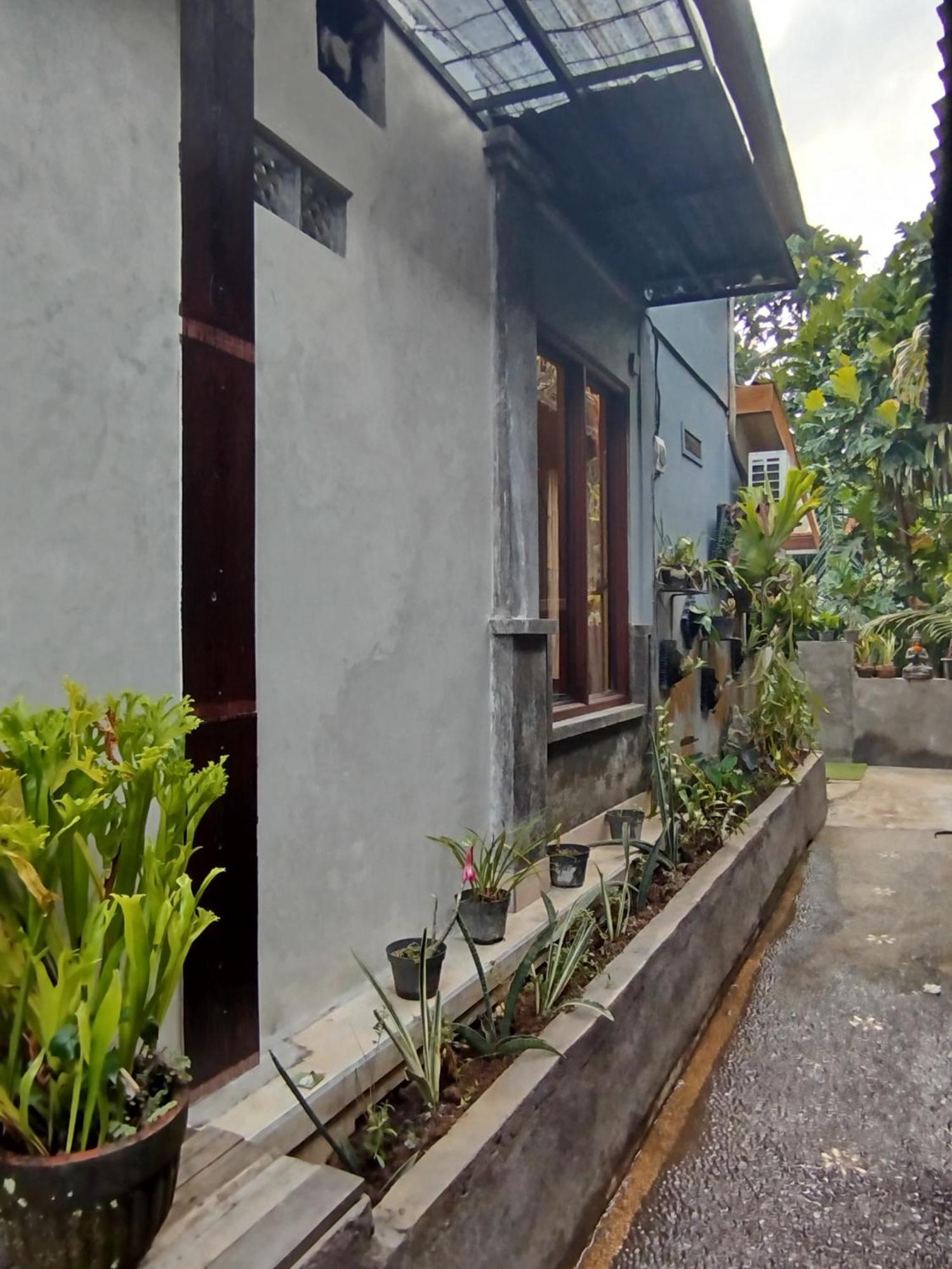Suweta46 House