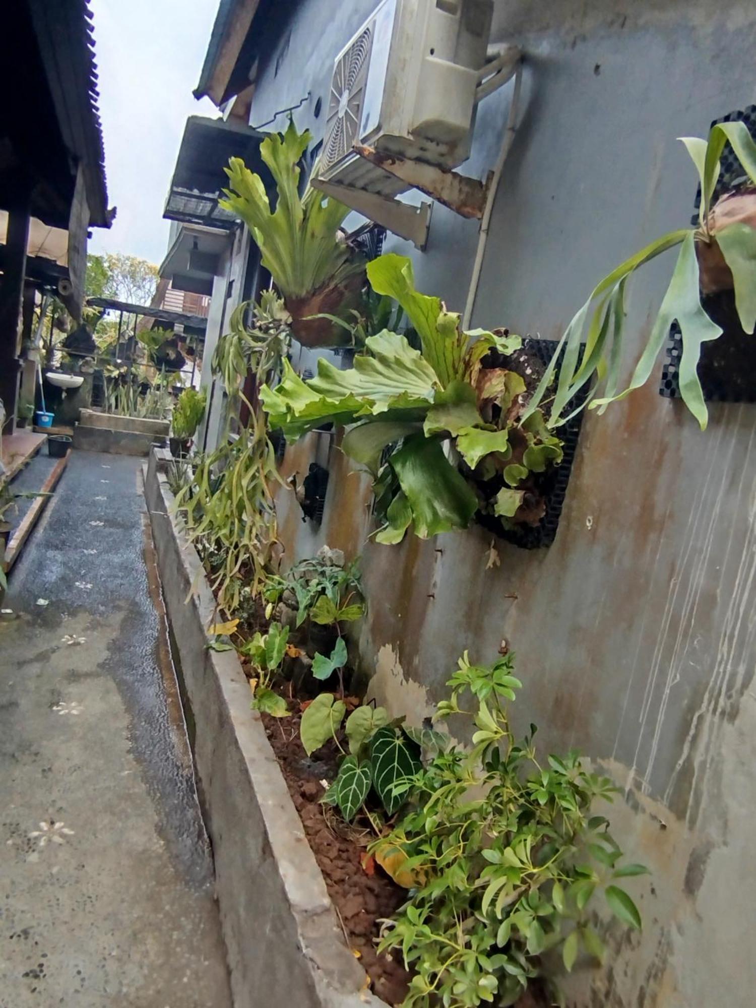 Suweta46 House
