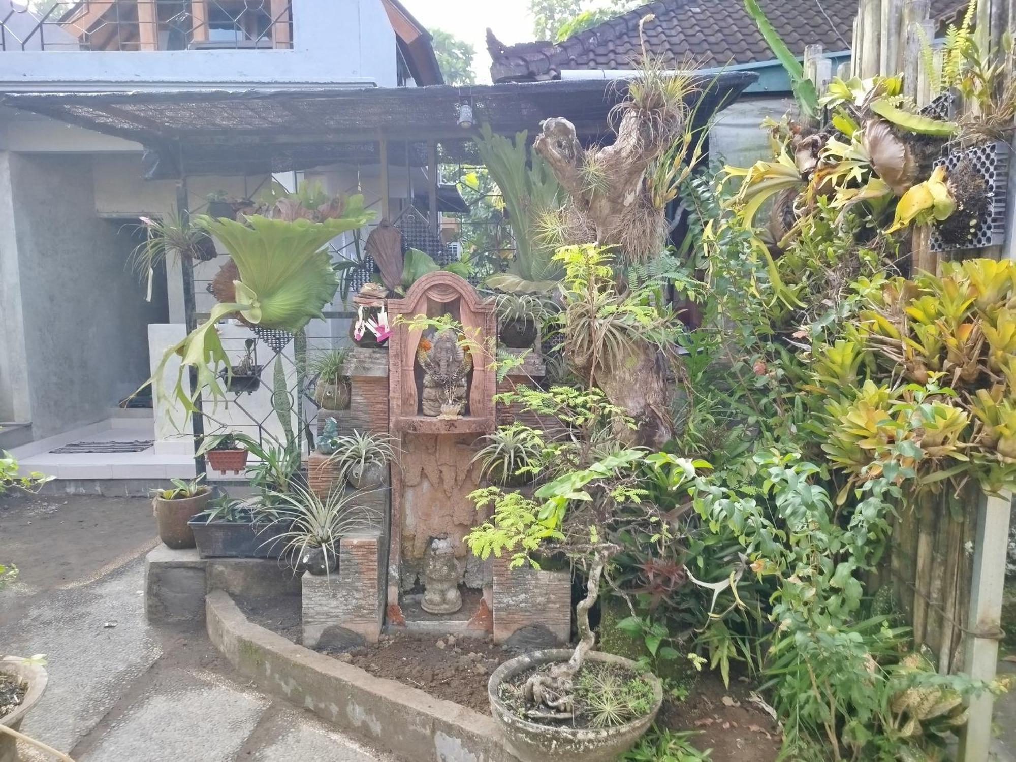 Suweta46 House Gasthof