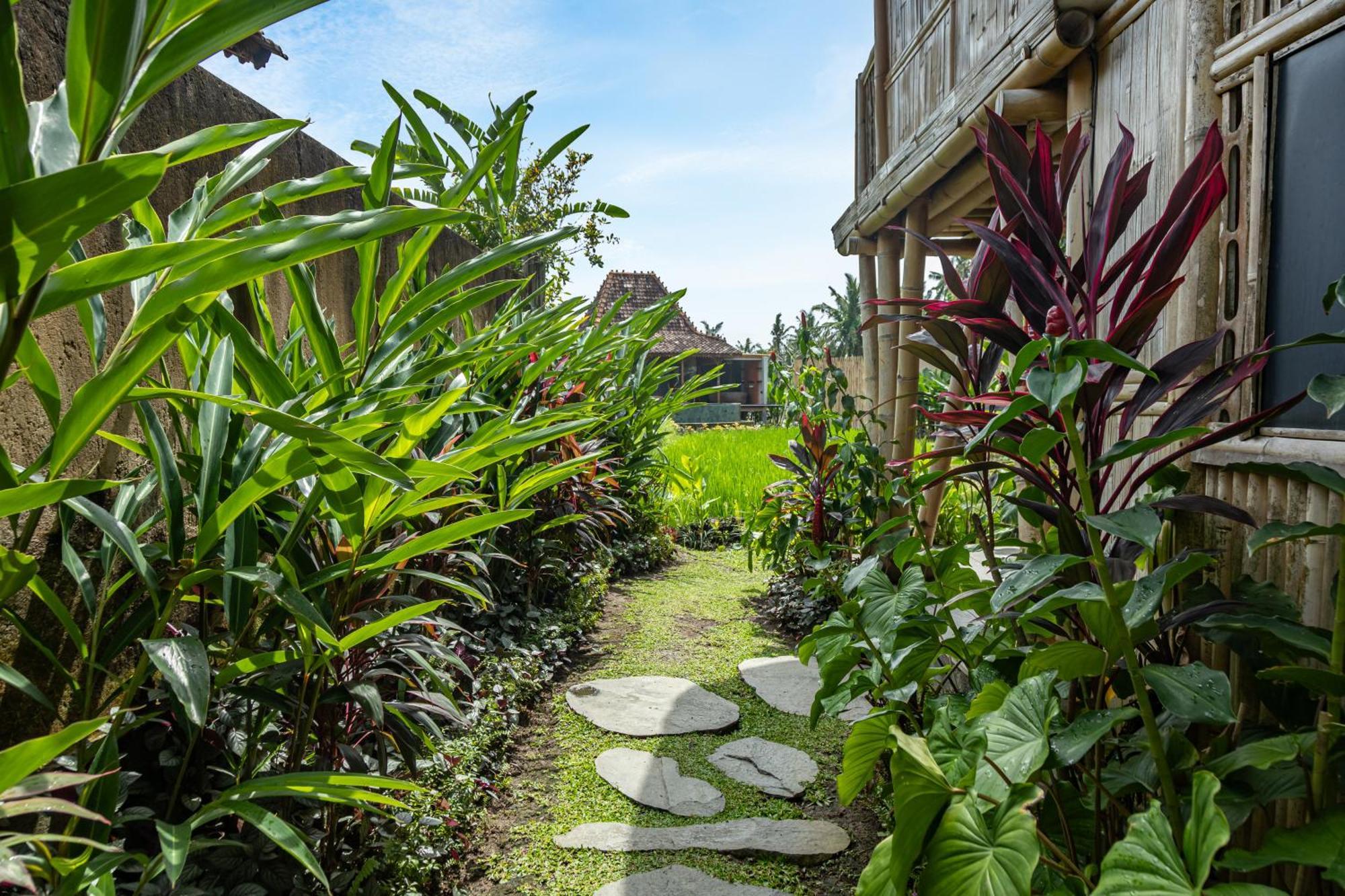 Tuju Angel By Pramana Lodge