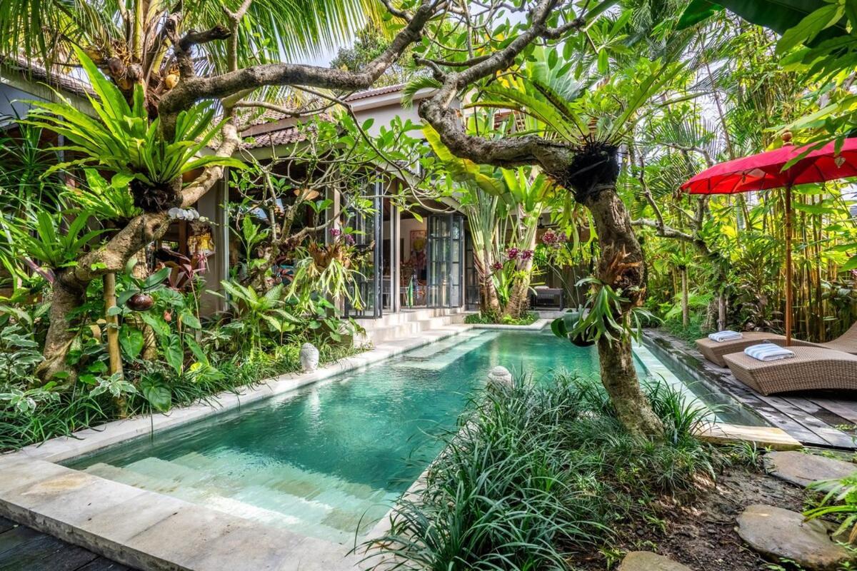 Where Art And Relaxation Meet In Tropical Paradise