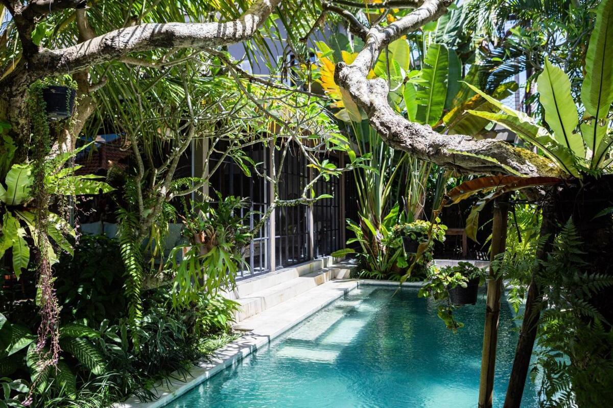 Where Art And Relaxation Meet In Tropical Paradise Villa *