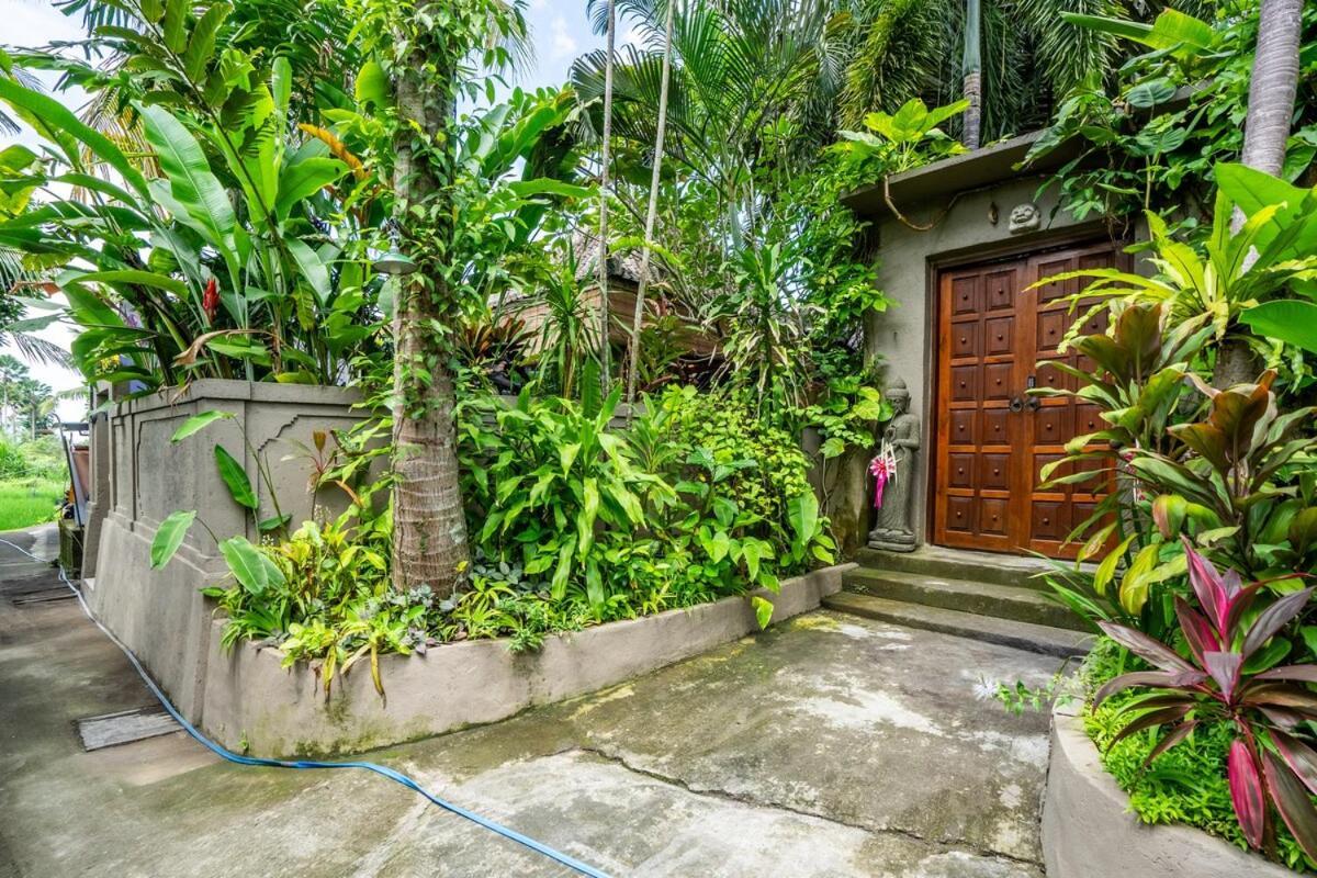 Villa Where Art And Relaxation Meet In Tropical Paradise Ubud (Bali)