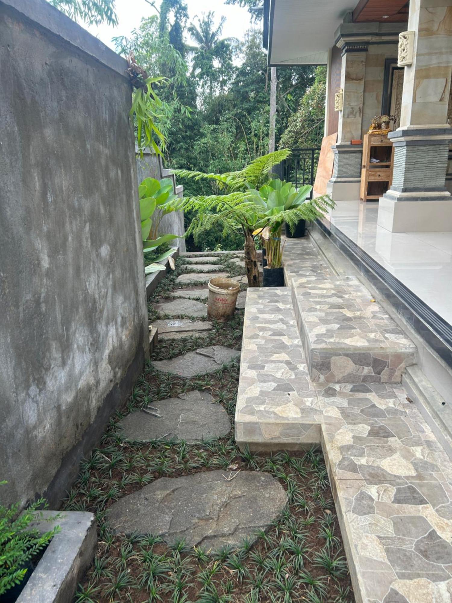 Backyard Guest house