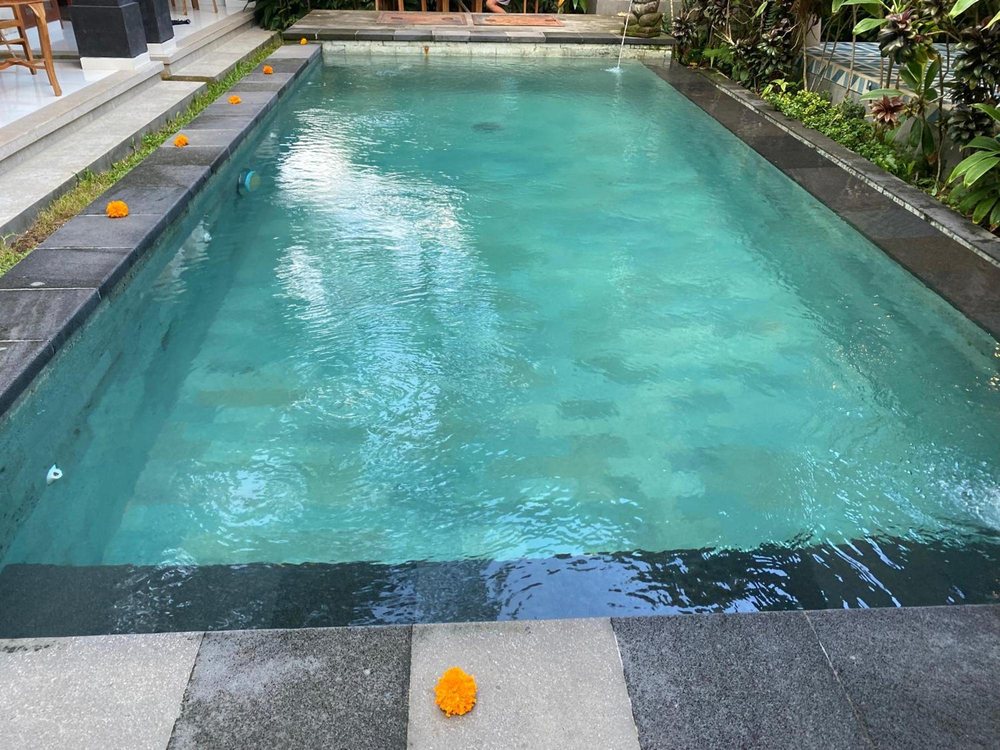 D'bunut * Ubud
