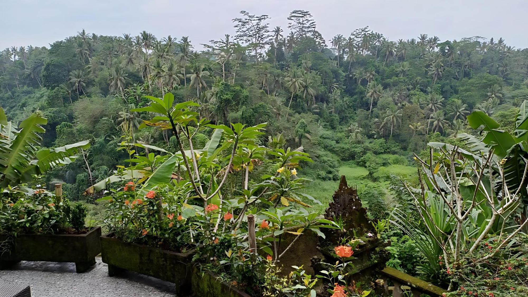 Taman percutian Tirta Asri