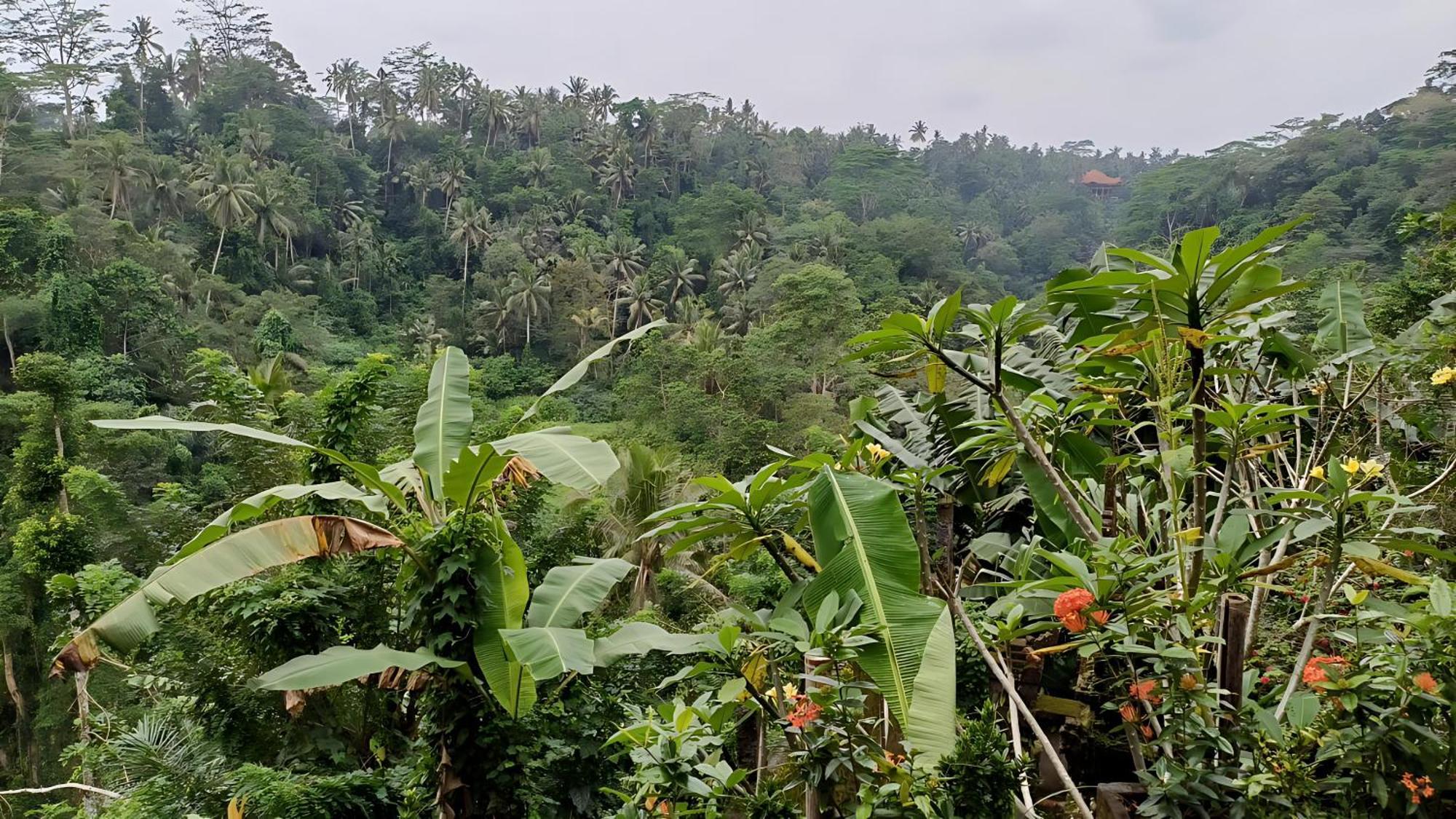 Taman percutian Tirta Asri 4*