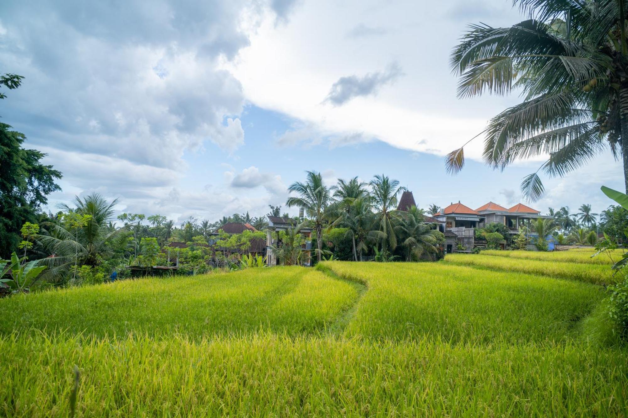 Kubu Rawa * Ubud