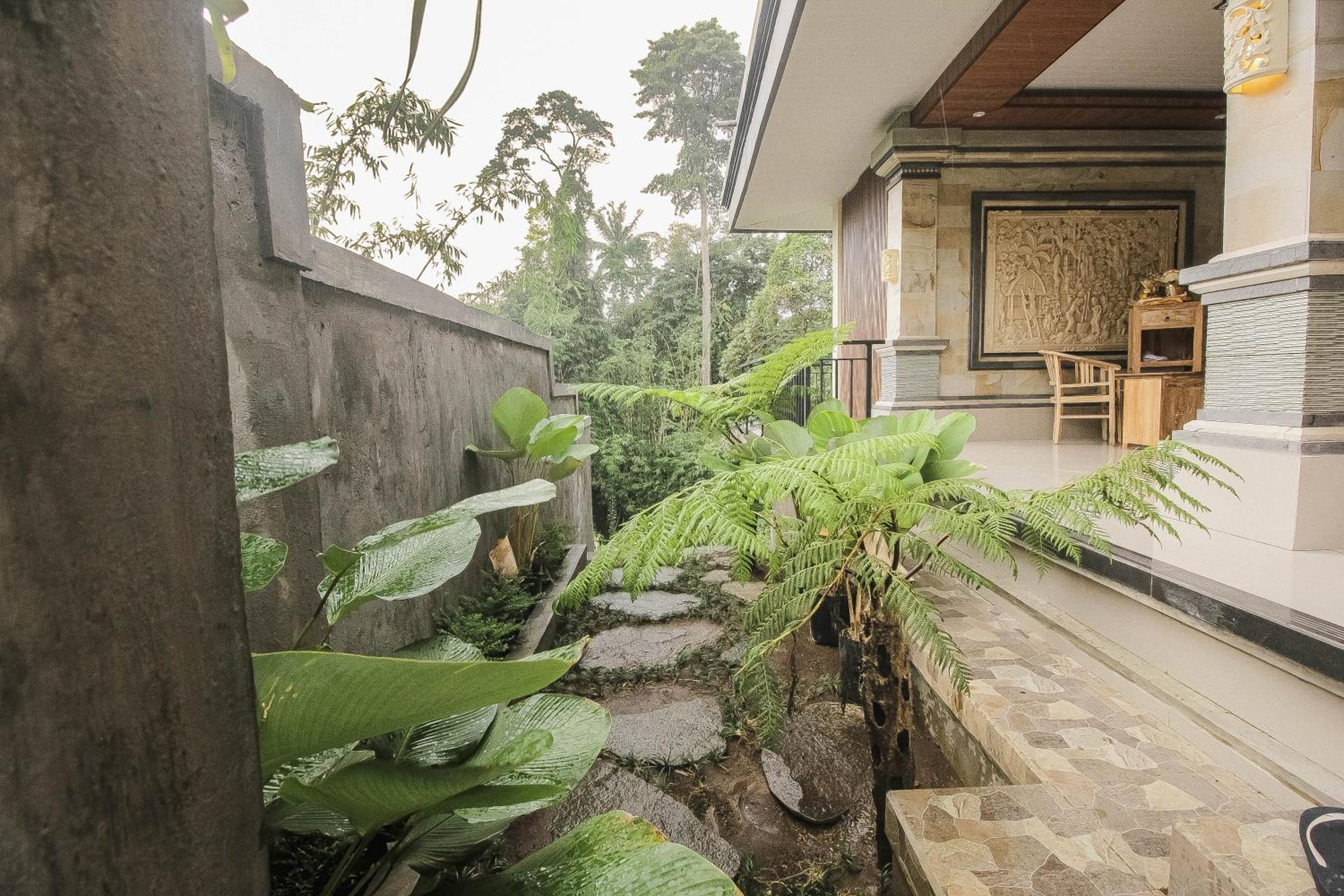 Guest house Backyard