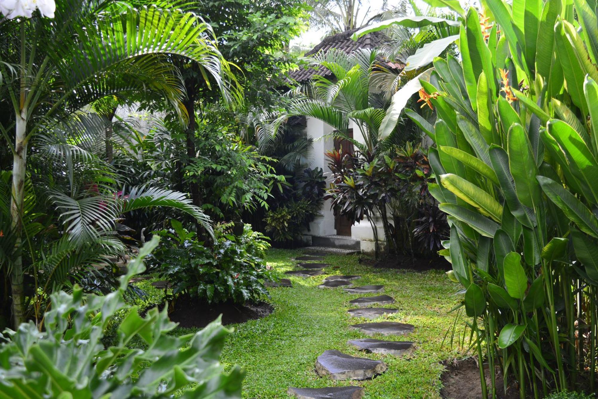 Villa Bindi *