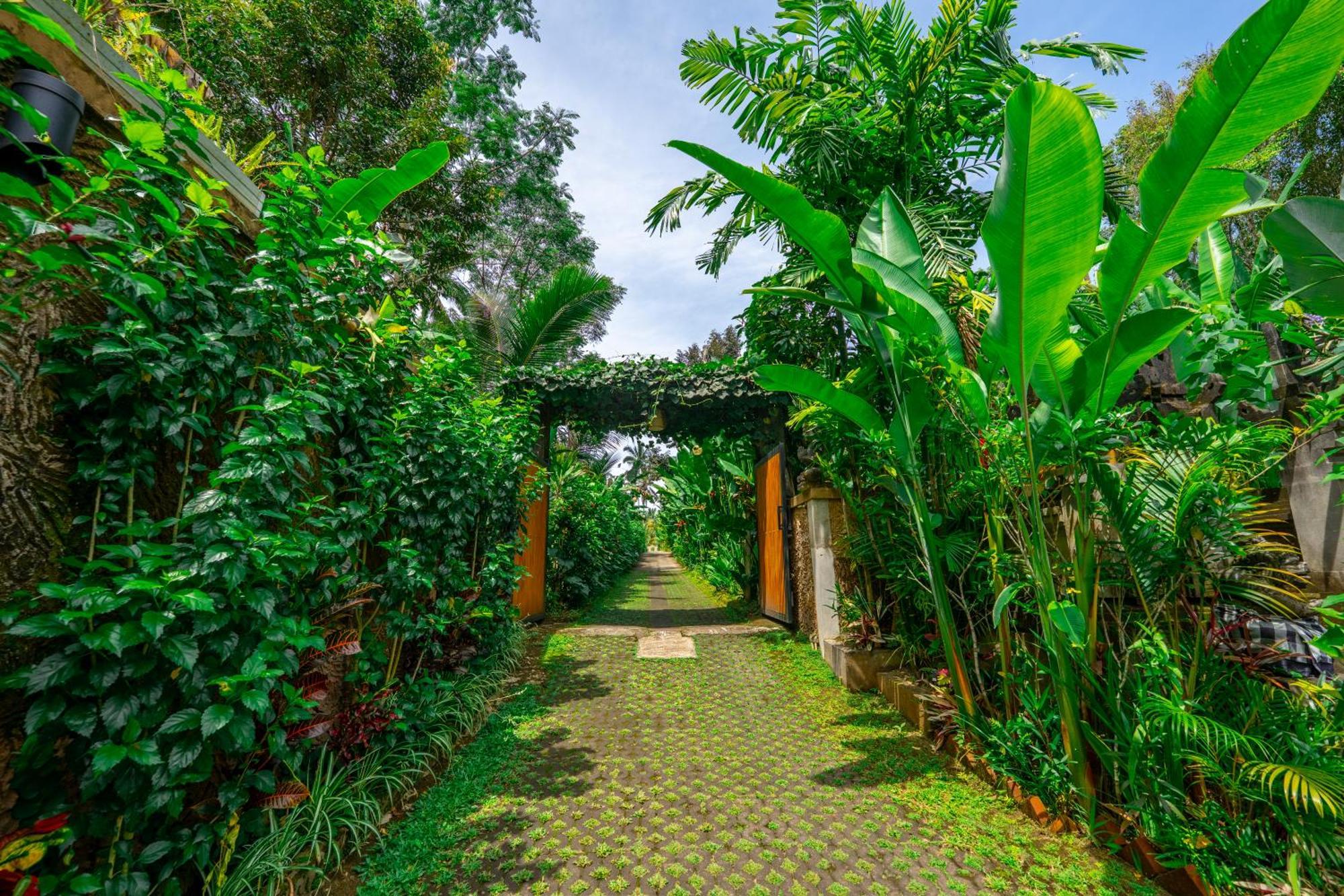 Bed & Breakfast Prayatna Ubud (Bali)