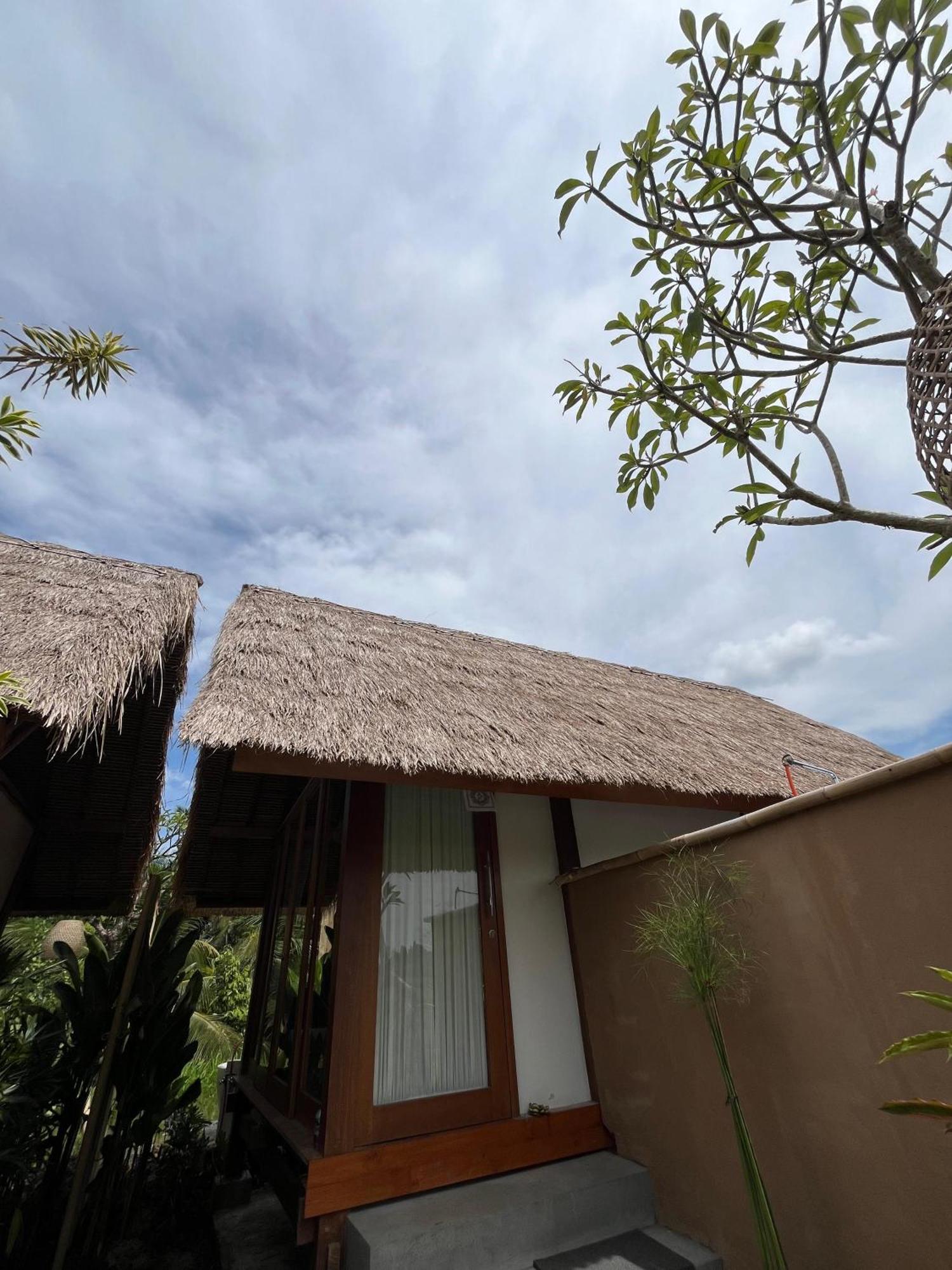Holiday home Mawas Ubud (Bali)
