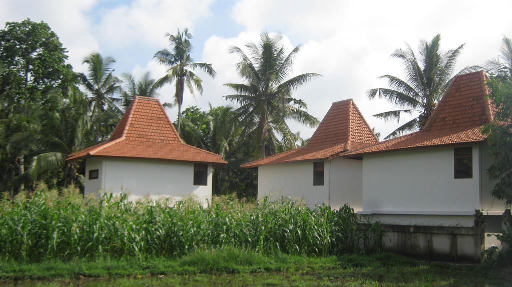 Mahanadewi
