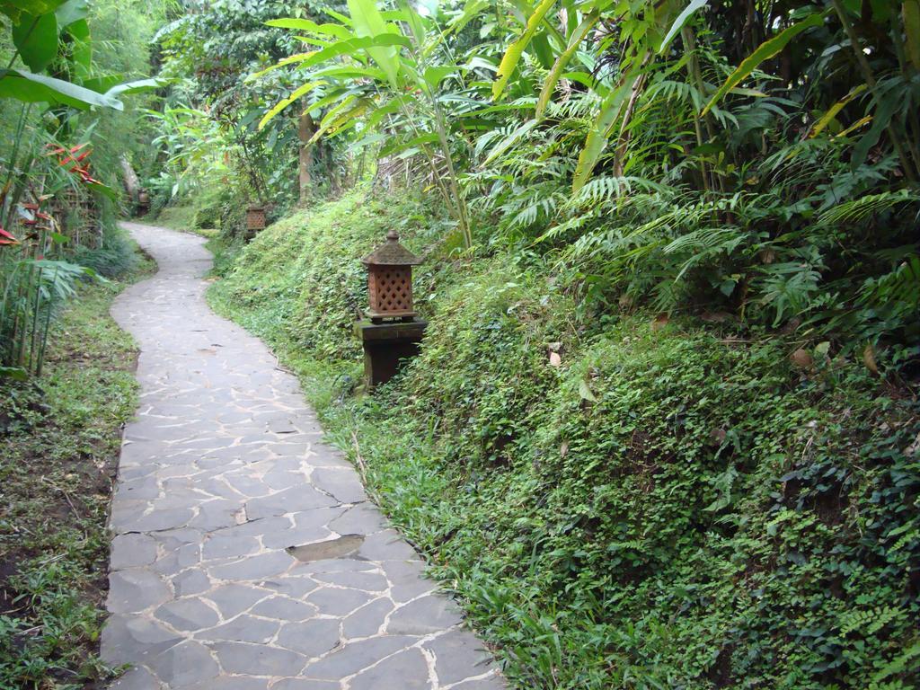 Resort Sayan Terrace
