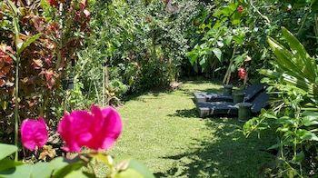 Hotel Waterfall At Rumah Jepun 3*