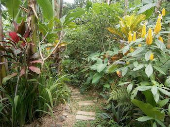 Hotel Waterfall At Rumah Jepun 3*