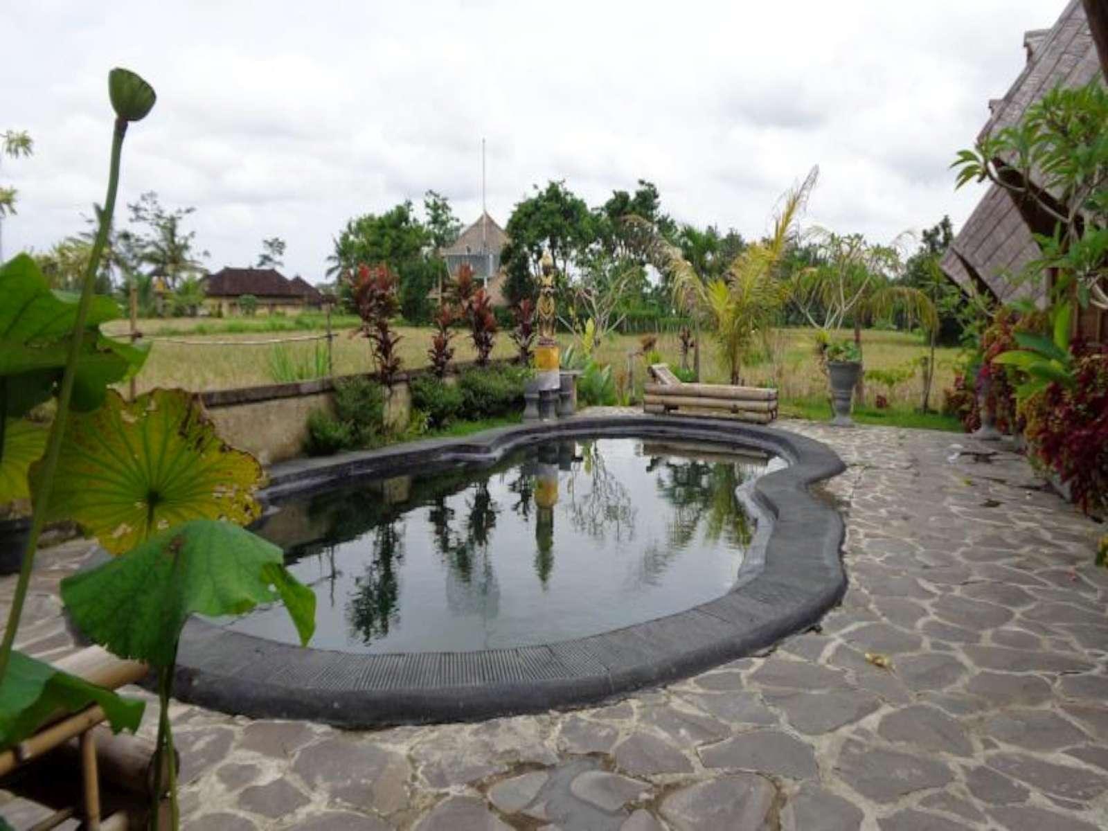 Guest house Laksmi Ecottages