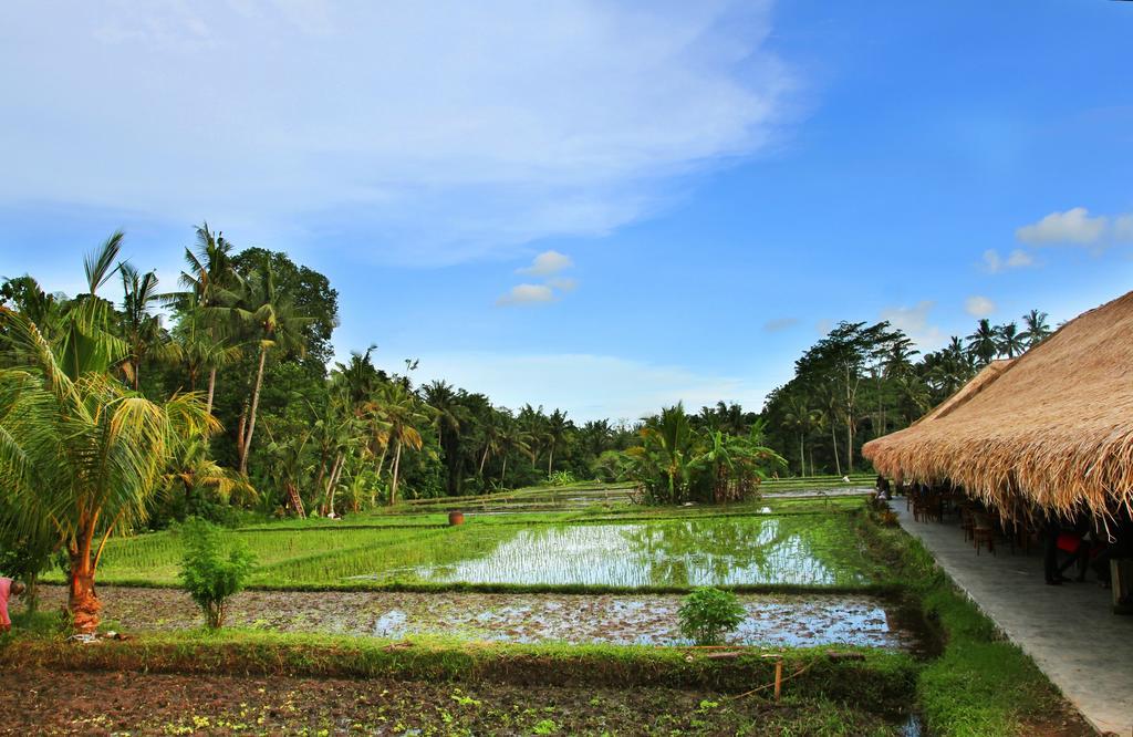 Sapulidi & Gallery Bali Ubud (Bali)