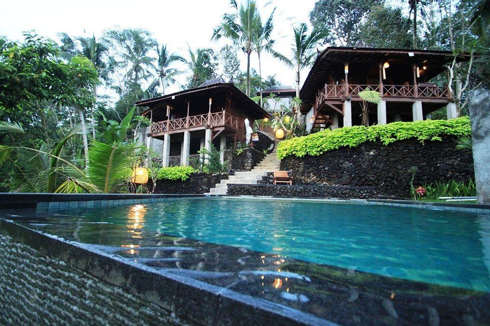 Jungle Holy Water