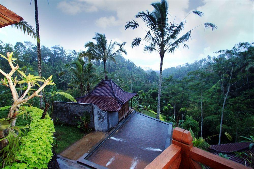 Gasthuis Jungle Holy Water Ubud