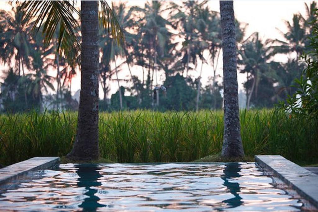 Chai House Villa Ubud (Bali)