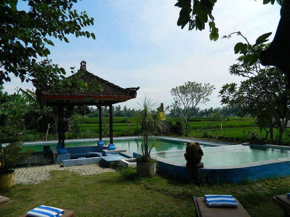 Suly Vegetarian & 3* Ubud