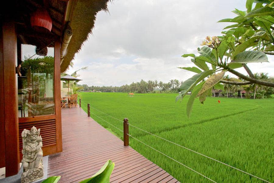 Bali Harmony