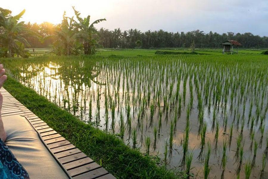 Vila Bali Harmony *