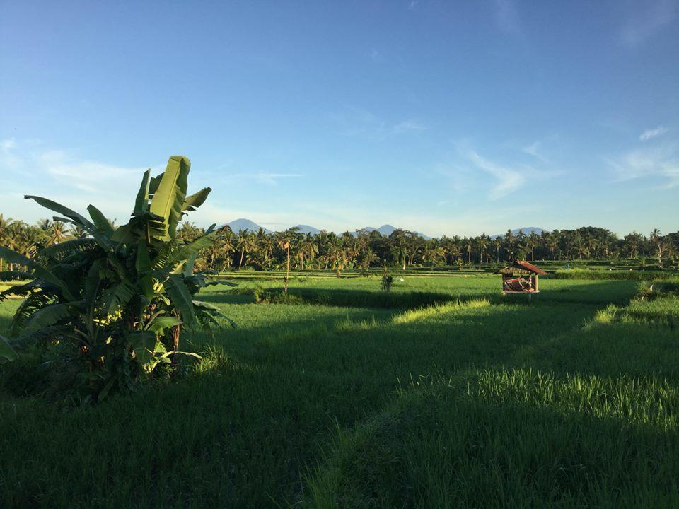 Bali Harmony * Ubud (Bali)