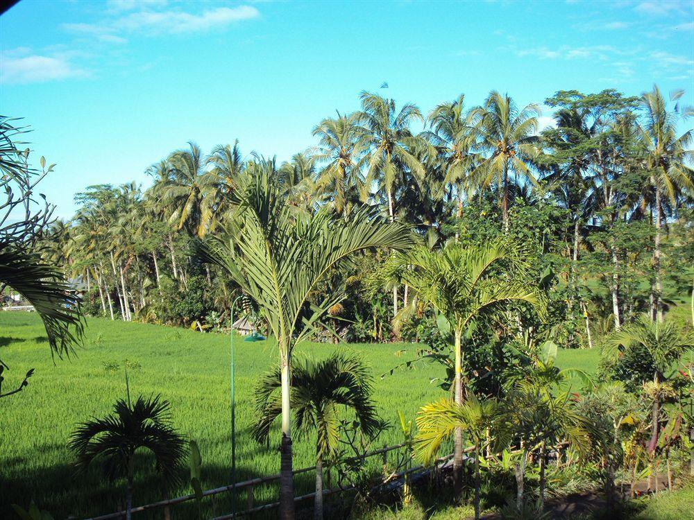 Syailendra * Ubud