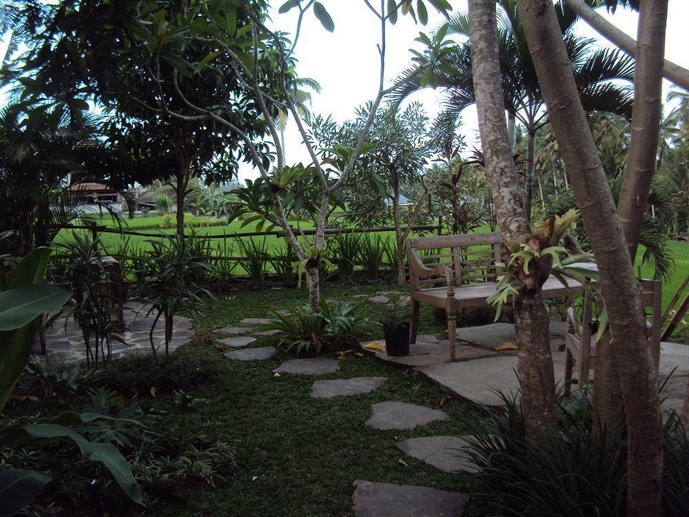 Syailendra *