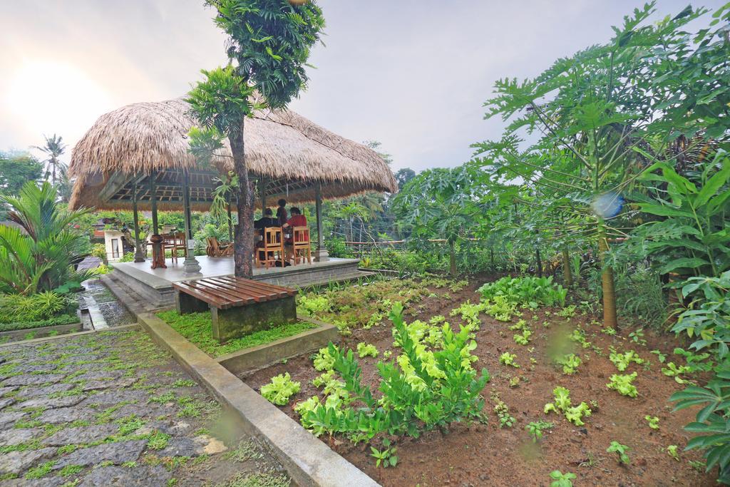 Inang Guest house Ubud (Bali)