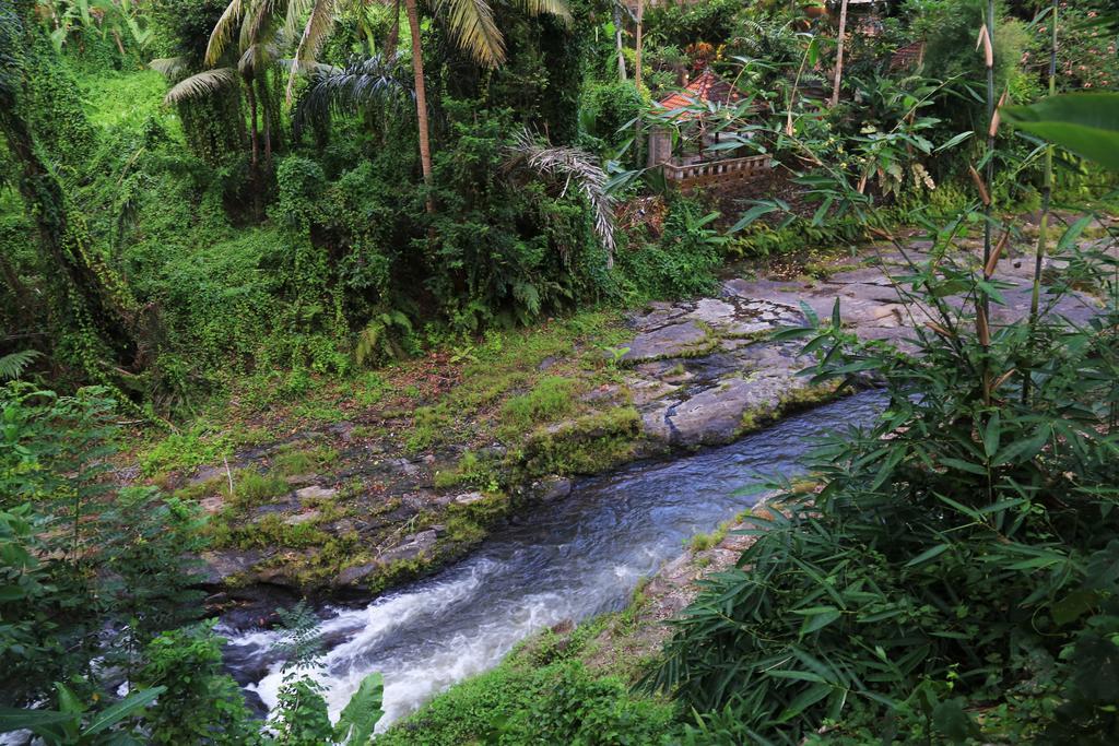 Labak River By Eps 4*