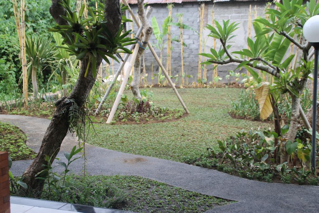 Ayu 2 2*
