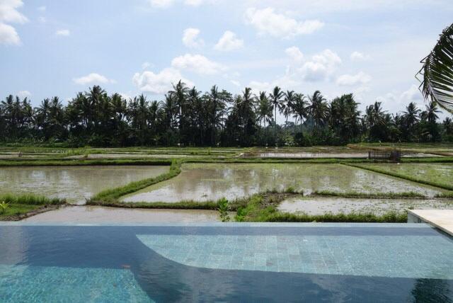 Balinese Villa Ubud (Bali)