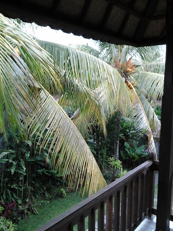 Rice Paddy Bungalow Guest house Ubud (Bali)